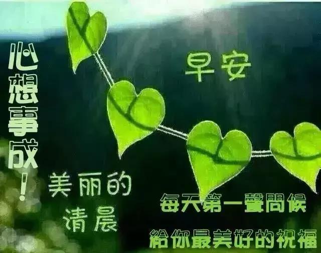 温馨晨光祝福图，美好早晨启航记