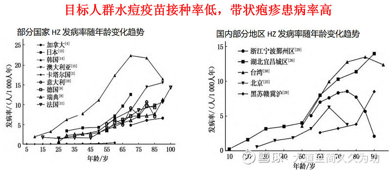 最新揭晓：疱疹疫苗研究进展及重要资讯一览