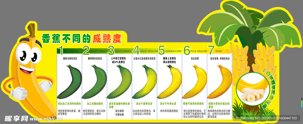 香蕉秘境新导航指南