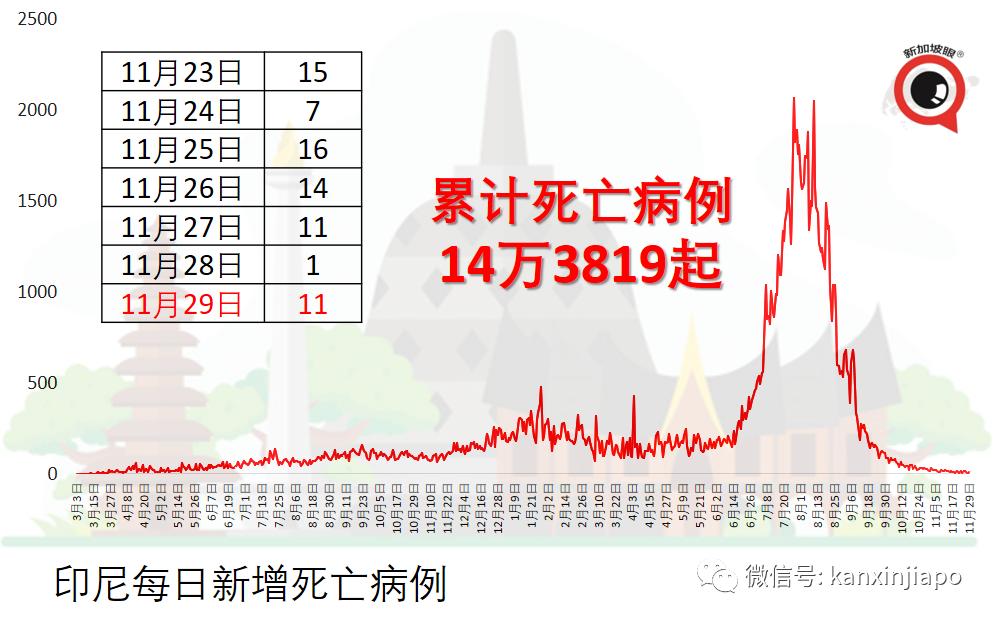 2025版印度入境表单填写指南：权威范本解析